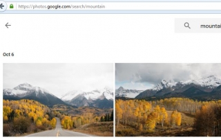 Google Photos for automated photo organization