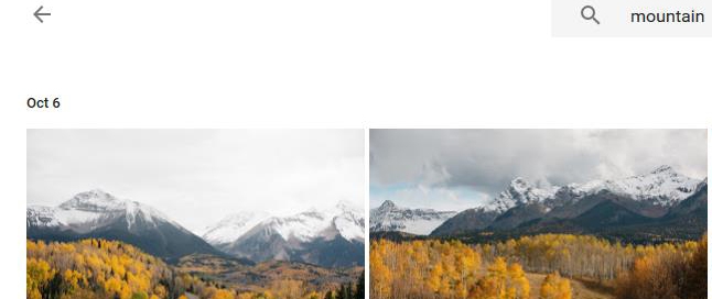 Google Photos for automated photo organization